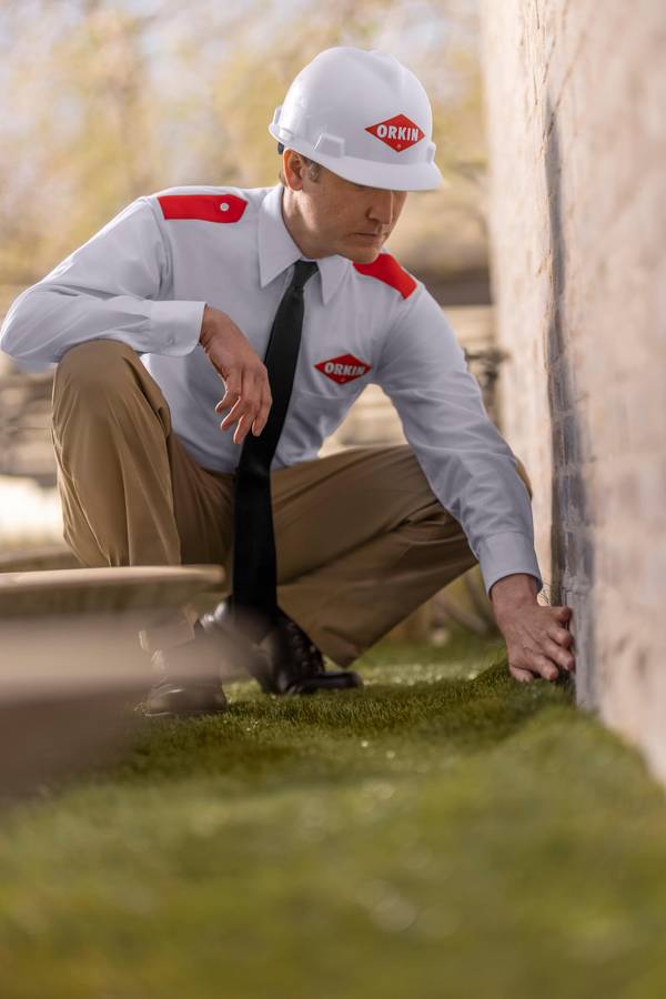 Germenix Pro crouching by outer house wall