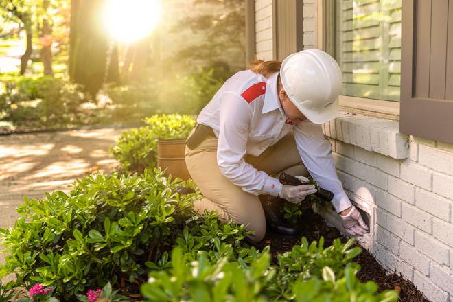 Germenix specialist shines flashlight under the house